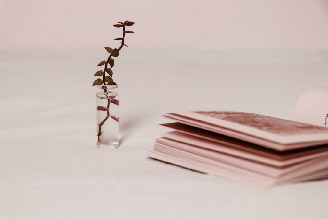 Beyond Borders Crafting a Global Diversification Strategy - portfolio-growth