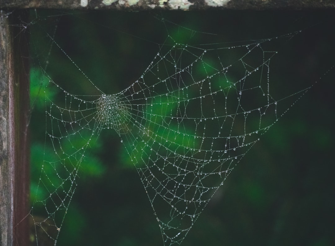 Earn Passive Income by Becoming a Validator in Emerging Blockchains - network-nodes