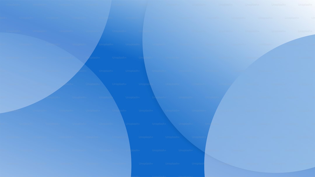 Navigating the Market with Fundamental Analysis and Team Assessment - case-study